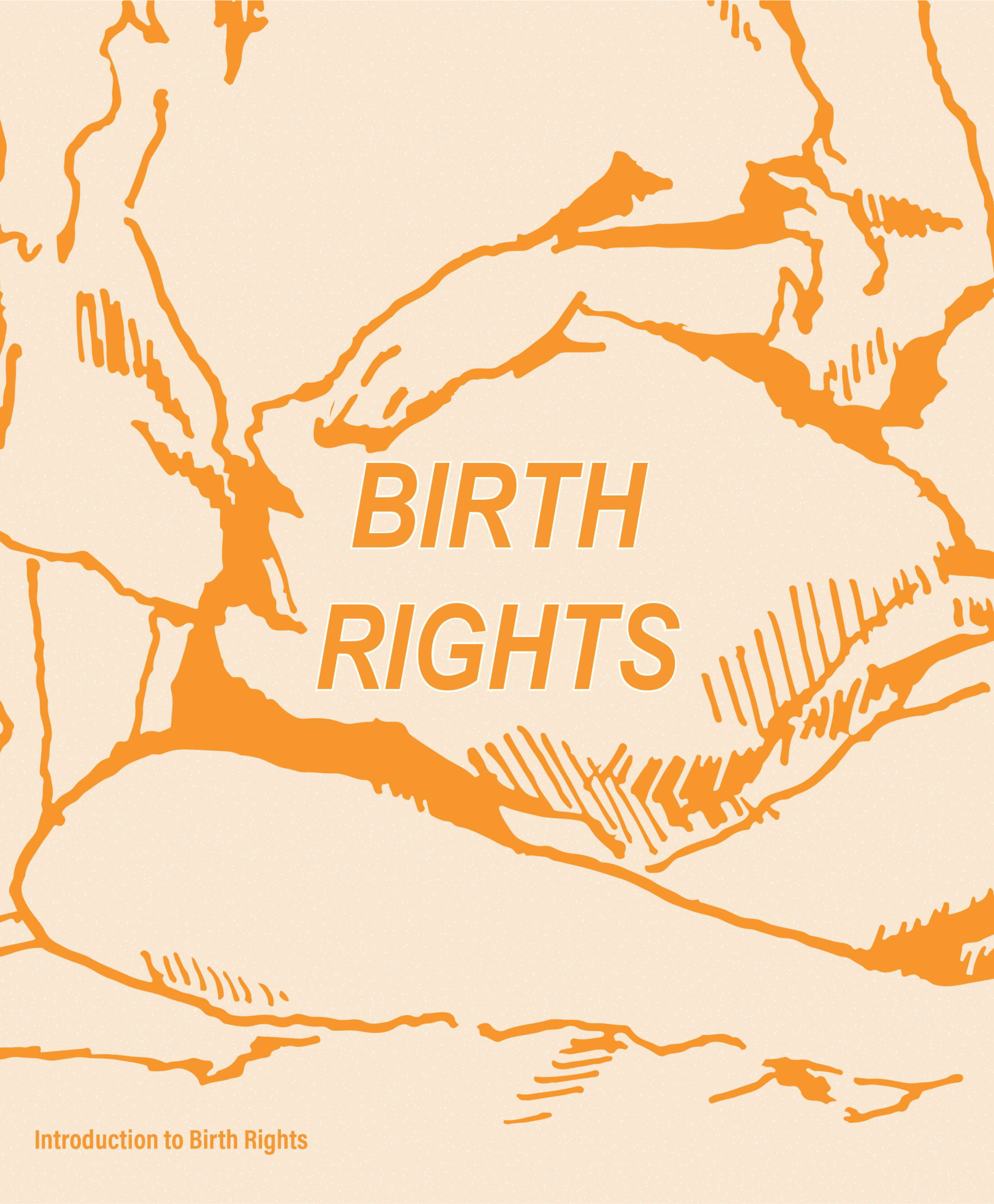 Public zine series cover