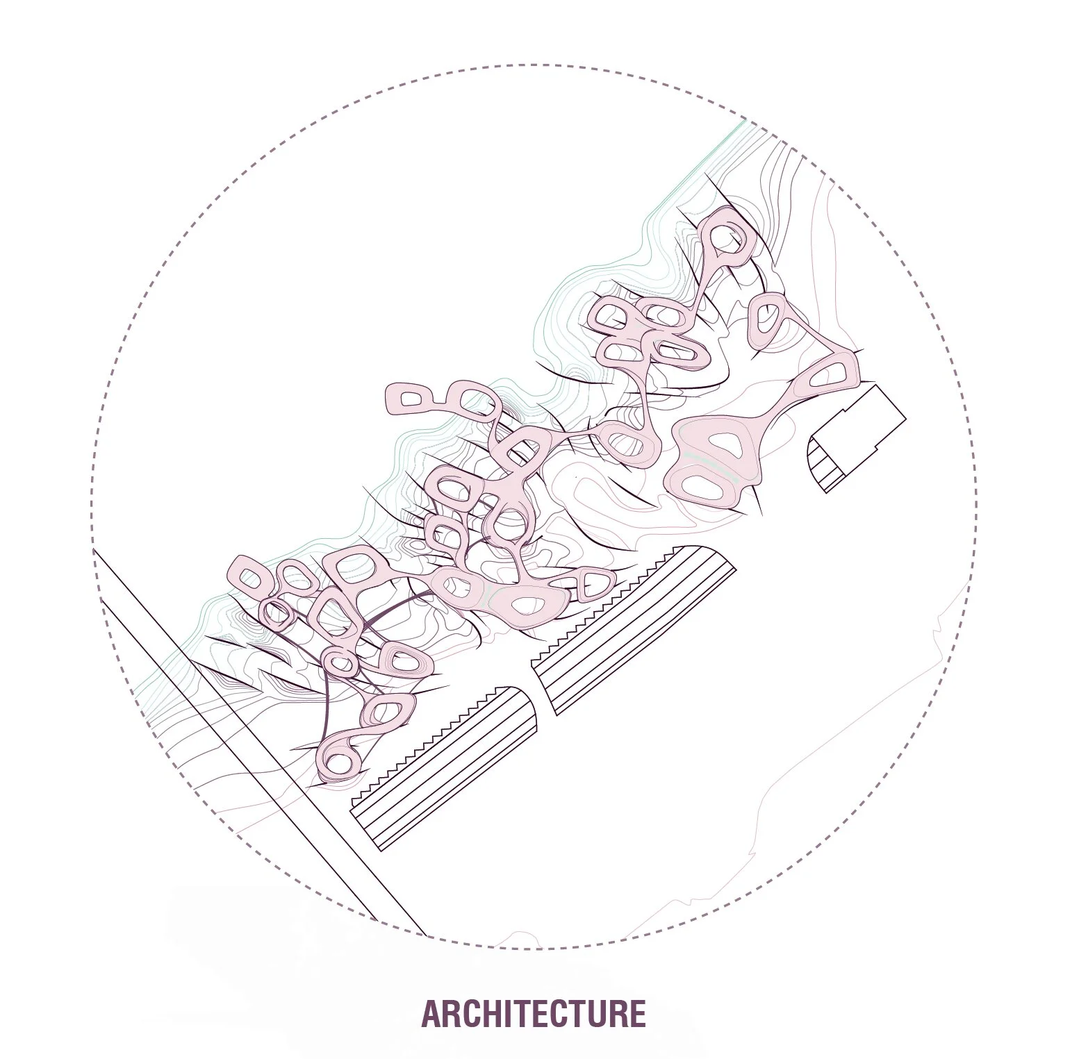 Architecture as continuous path